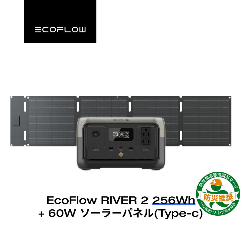 EcoFlow ポータブル電源 ソーラーパネル