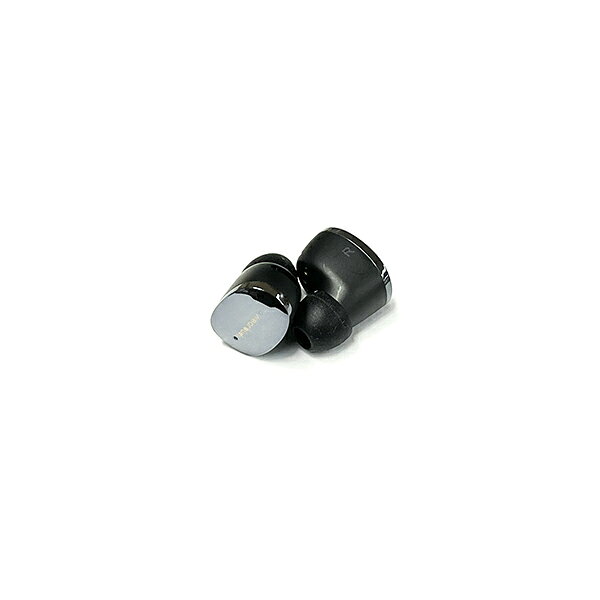 Wearbuds 専用イヤホン AI-W20